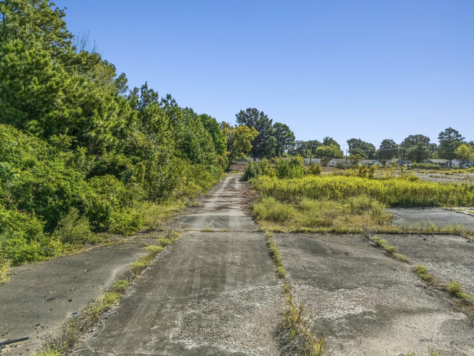 Ground view down a concrete drive lane between a tree line and the open slab.