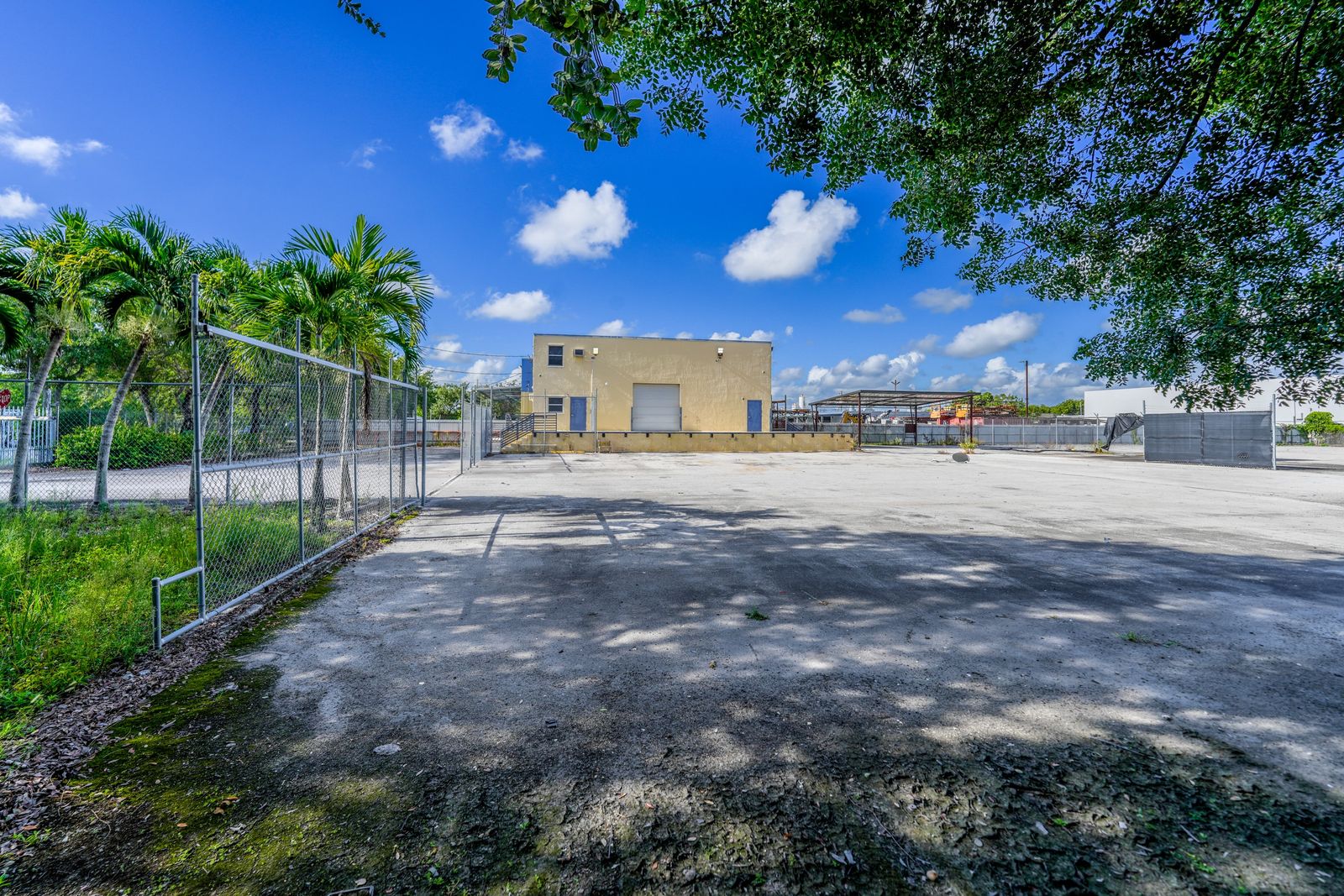 The paved yard seen through the chain link perimeter fence, with palm trees planted along the fence line.